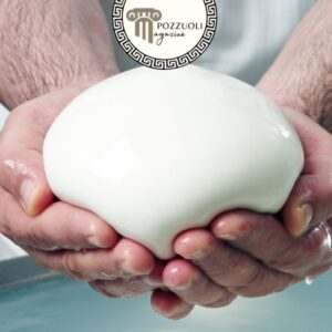 mozzarella di bufala campana