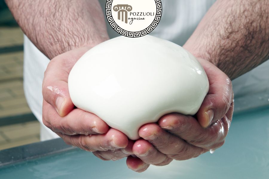 mozzarella di bufala campana