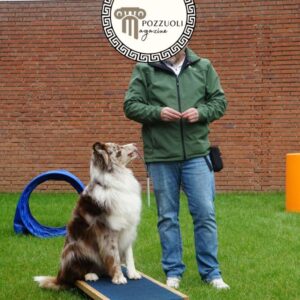 pensione e addestramento