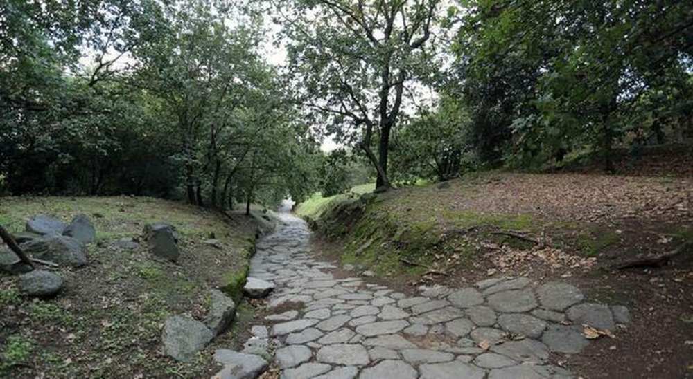 bacoli|-tempio-di-hera,-emergono-tracce-a-cuma