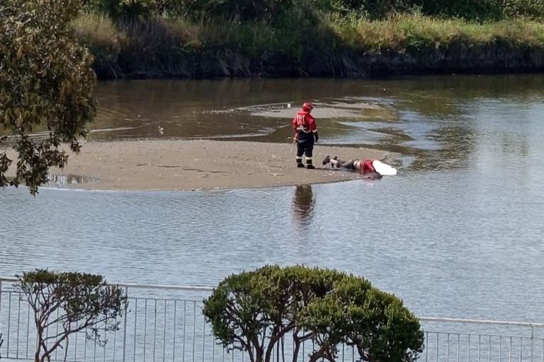 pozzuoli|-morto-nel-lago-lucrino,-l’sos-ignorato:-“aveva-lo-sguardo-perso-nel-vuoto”