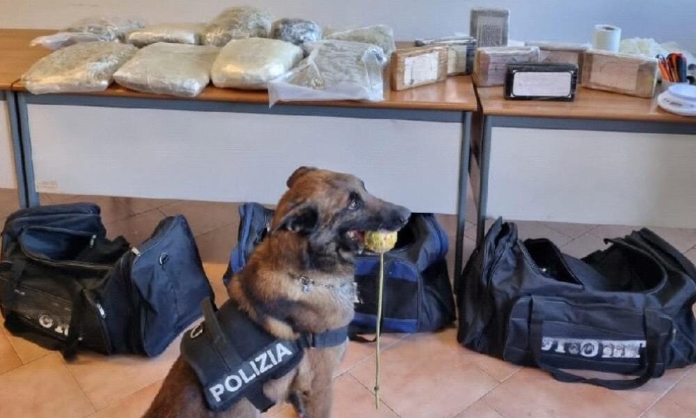 sorpreso-con-oltre-17-chili-di-droga-in-casa:-arrestato-grazie-all’unita-cinofila